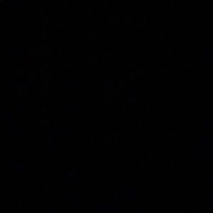 Meet your Posher, Ian